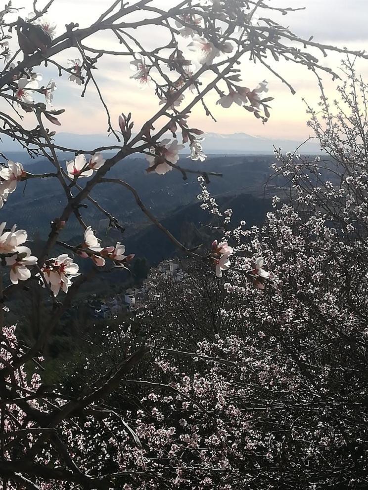 فيلا El Mirador De Castril - Granada المظهر الخارجي الصورة